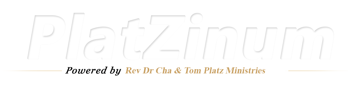 PlatZinum